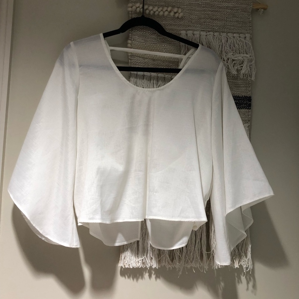 Lizard Thicket crop top